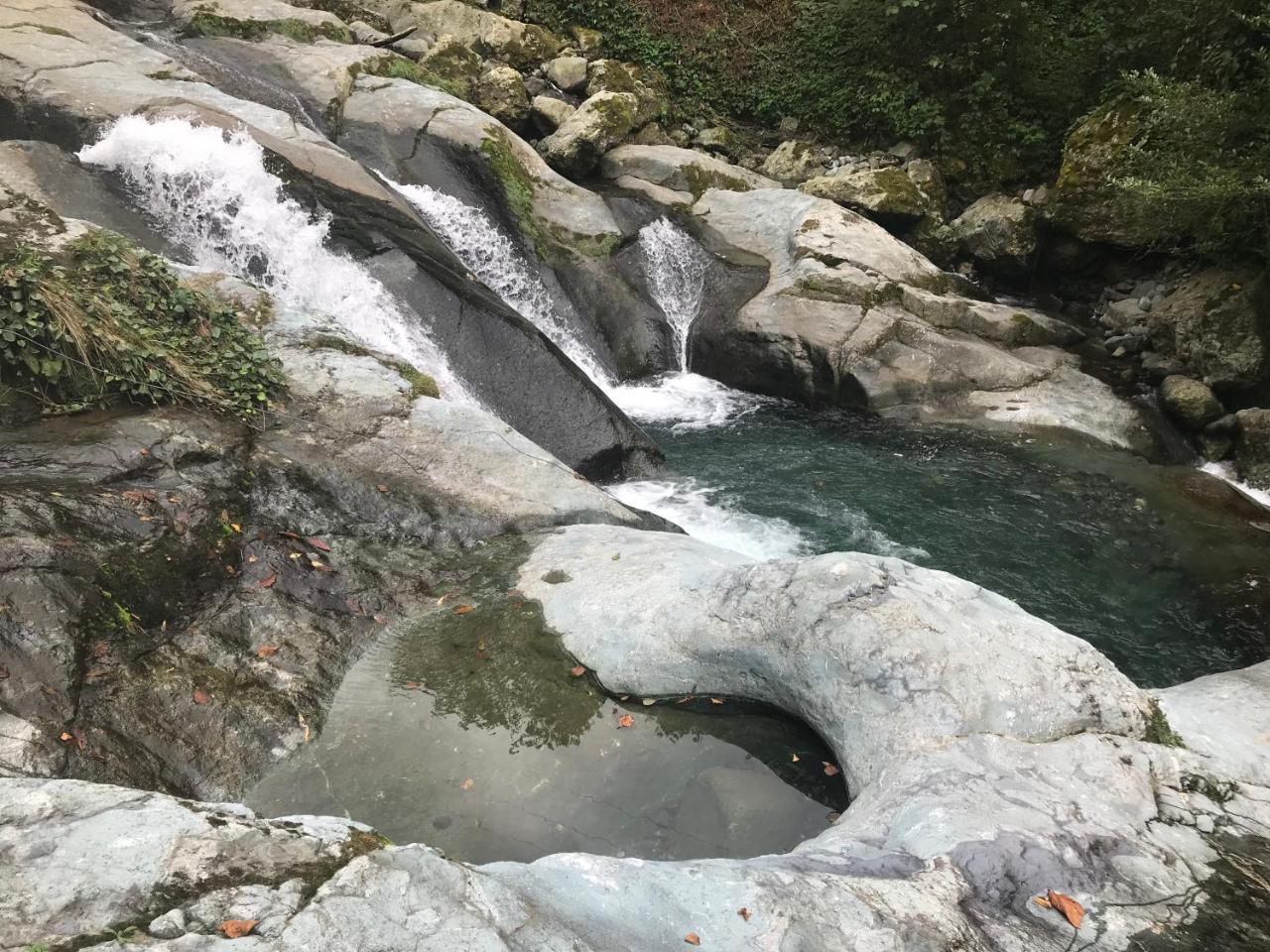 阿尔特温 Pinar Kir Evi旅馆 外观 照片